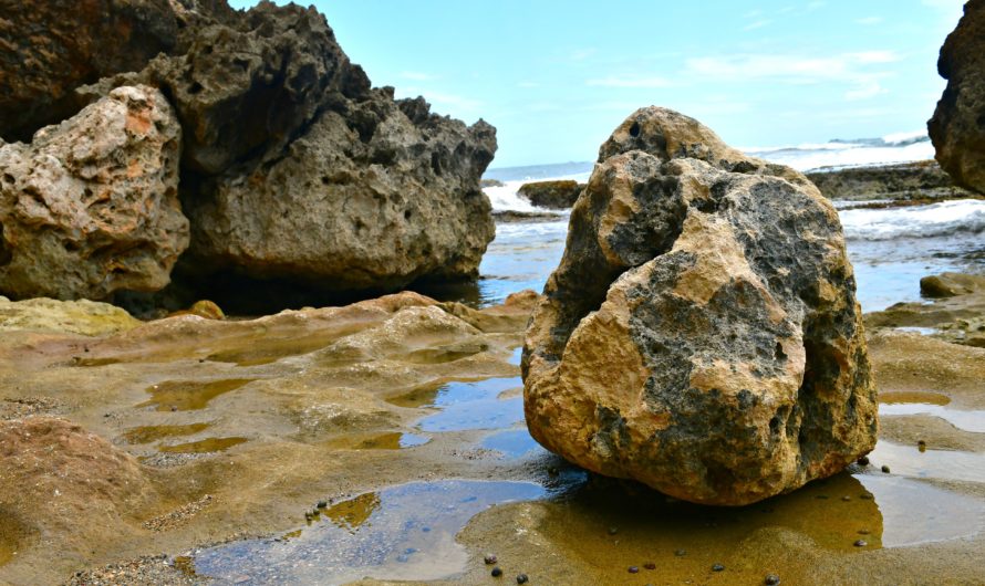 Tener claridad con «tus big rocks» lo cambia todo