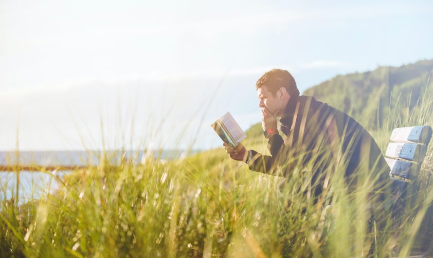 Libros de ficción y no ficción para desconectar este verano (2022)