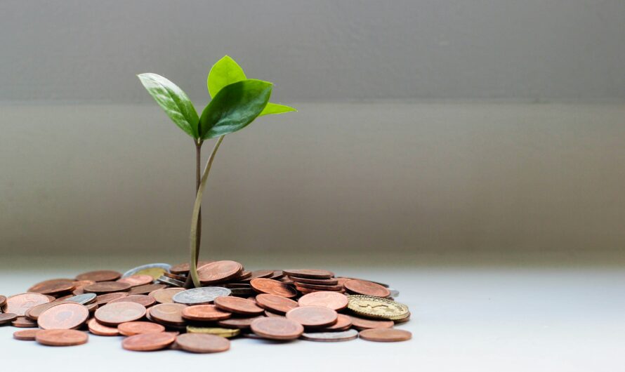 Cómo gestionan su patrimonio los ricos a través de sus Family Offices para hacerlo crecer con el mínimo riesgo – Parte II