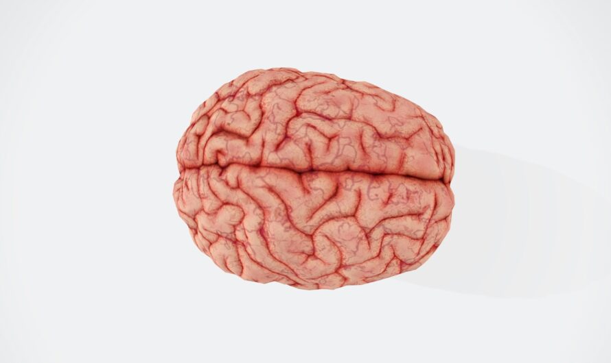 Crea tu cerebro inversor (aprende a invertir según la ciencia)