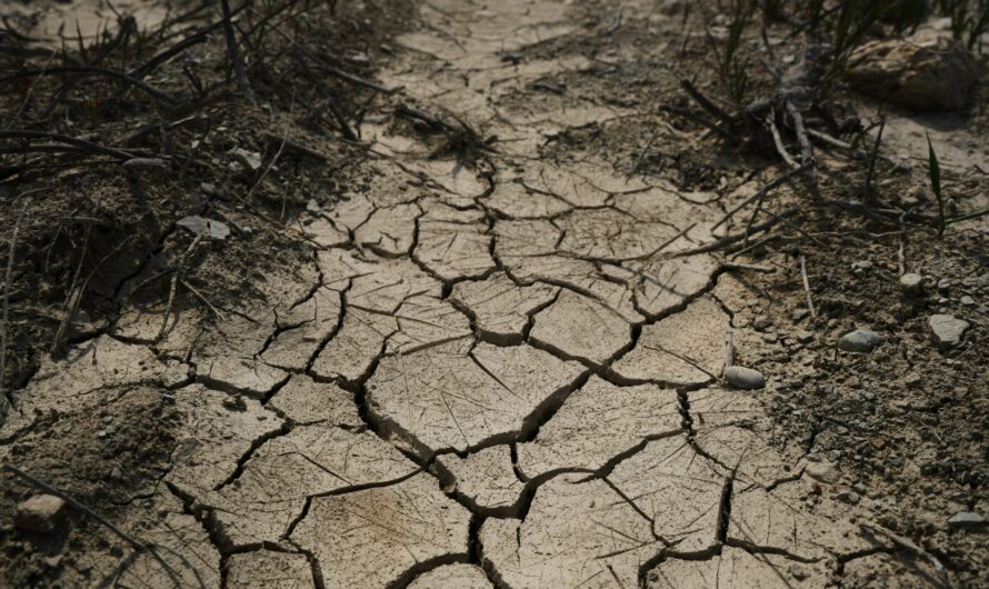 8 «problemas de propietario» que acabo de sufrir (La cara B del negocio de alquiler)